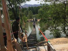 -东方巨龟苑景区