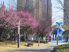 -海合安武汉极地海洋公园