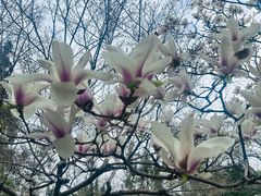 -兴福老面馆(寺路街店)