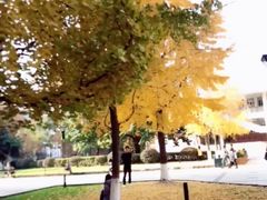 -四川大学(望江校区)