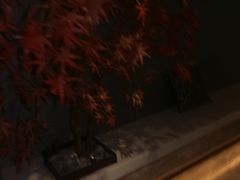 -三谷里·生态水疗空间(五一店)