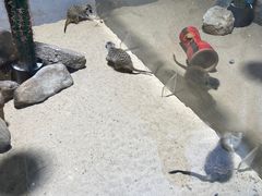 -海合安青岛极地海洋公园