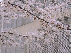 -龙美术馆西岸馆-停车场