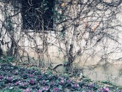 -绮园景区