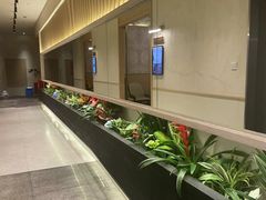 -荷花亭·湖北融合菜(中商广场店)