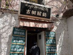 -古树酸奶(八廓南街店)