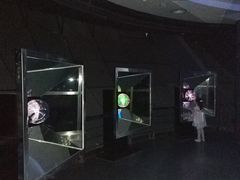 -陕西自然博物馆