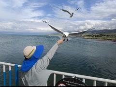 -青海湖国家重点风景名胜区