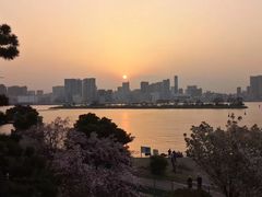 -台场海滨公园船码头