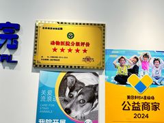 -北京观赏动物医院·24小时大型综合·猫专科·异宠专科