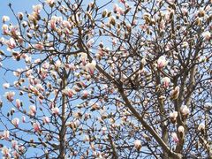 -白塘生态植物园