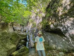 -牛背梁国家森林公园