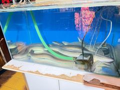 -延边金利串店(安达街店)