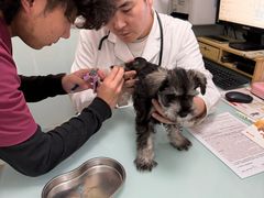 -宠福鑫康馨动物医院·骨科·眼科