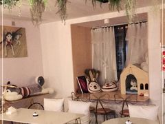 -Husky Go! 哈士奇体验馆·宠物咖啡厅狗咖