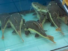 -大润发(梅兰东路店)