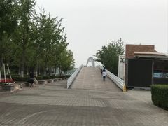 -大兴滨河森林公园