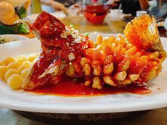 -吴越荣记苏州菜·松鼠桂鱼 100% 活鱼现做(月光码头店)