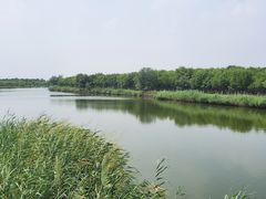 -西青郊野公园