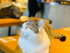 -IFIF 如果花園(宽厚里店)