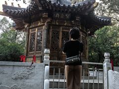 -高尔山公园