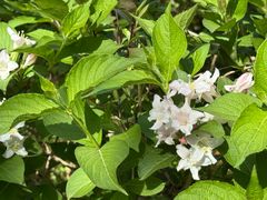 -昆山城市生态森林公园