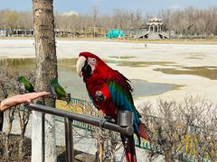 -水上乐园·欢乐世界