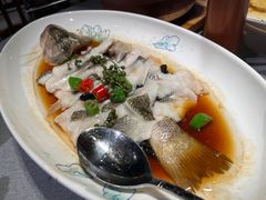 藤椒淋无骨鲈鱼-晓粤·惹味粤菜(凯德乐峰广场店)