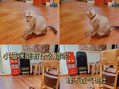 -H立方实景剧情密室(天河旗舰店)