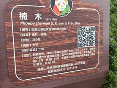-峨眉山报国寺