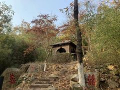 -石老人观光园