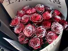 -王尔德与花