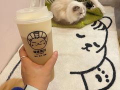 -猫咪派对(江南西店)