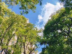 -安徽大学(龙河校区)