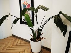 -PETIT PARIS 小巴黎(凯德1818店)