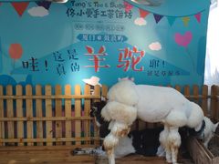 -佟小曼手工茶饼坊(鼓浪屿1店)