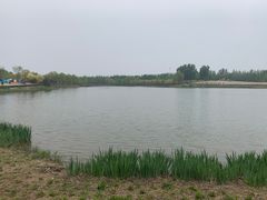 -东郊湿地公园