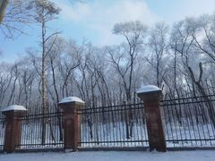 -黑龙江省森林植物园