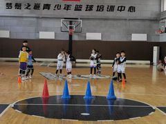 -梦想之巅·青少年篮球·羽毛球·培训中心(西站店)