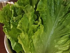-双门洞·森系料理(体育西店)