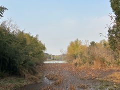 -昆山城市生态森林公园