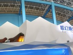 -泉城欧乐堡海洋极地世界