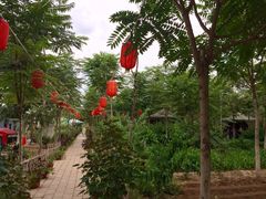 iphone_upload_pic-草根堂农场