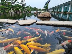 -罗红摄影艺术馆