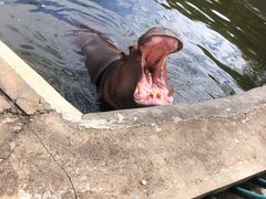 -哈尔滨北方森林动物园