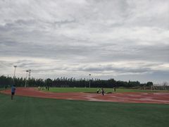 -瀛海足球主题公园