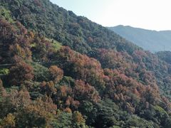 -广州市石门国家森林公园