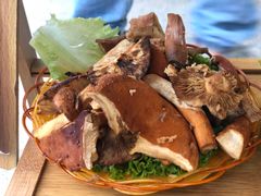 -易门野生菌府·菌海森林(月牙潭公园店)