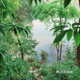 杨家沟水库
