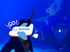 -烟台海昌鲸鲨海洋公园